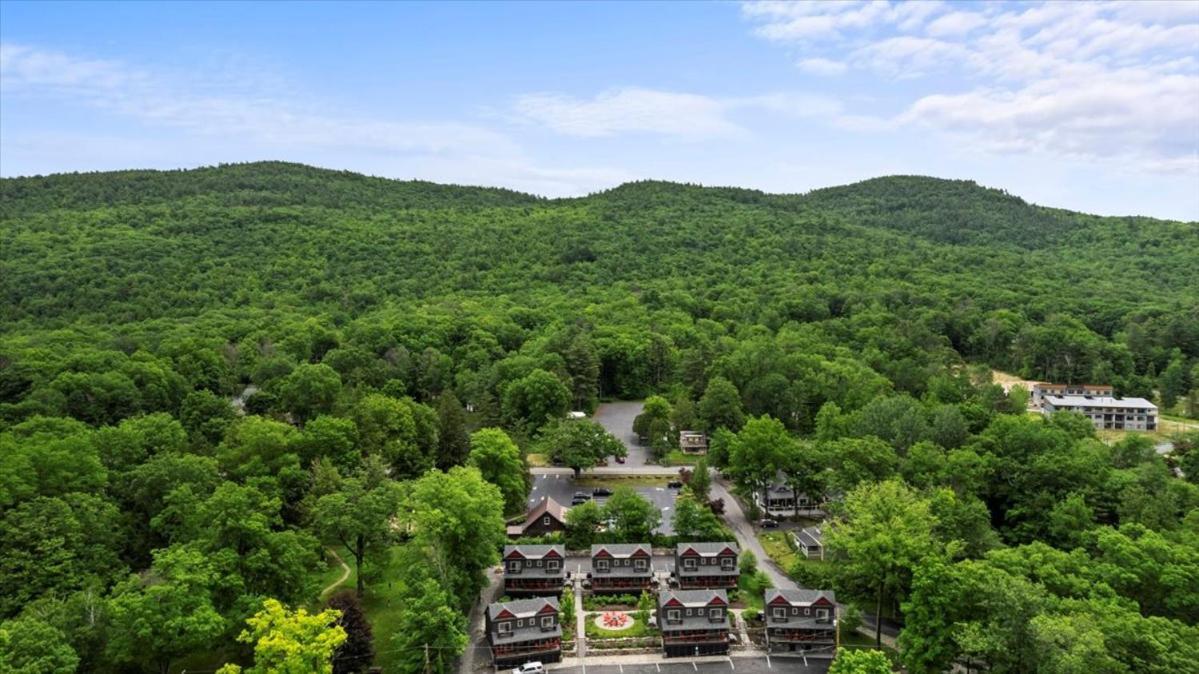 Lakeside Lodging بحيرة جورج المظهر الخارجي الصورة